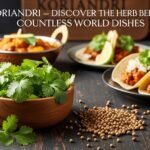 Koriandri – Discover the Herb Behind Countless World Dishes